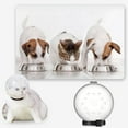 thumbnail image 3 of Walbest Cat Adjustable Hood Kitten Breathable Anti Bite Muzzles Prevent from Cats Biting and Chewing, Safety Prevent for Small Pets Grooming, 3 of 7