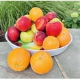 thumbnail image 6 of Melamine Circular Serving Tray for Drinks, Fresh Fruits, Ice cream bowls, Round Plastic Trays with Modern Attractive Designs Excellent Quality 13"/15"+ Free Serving Spoon (Flower-2pcs/set), 6 of 8