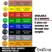 CanDo Molded Dual-Handle Medicine Ball for Strength Training, Core Workouts, Warmups, Cardio, and Plyometrics with Handles for Home and Clinic Use
