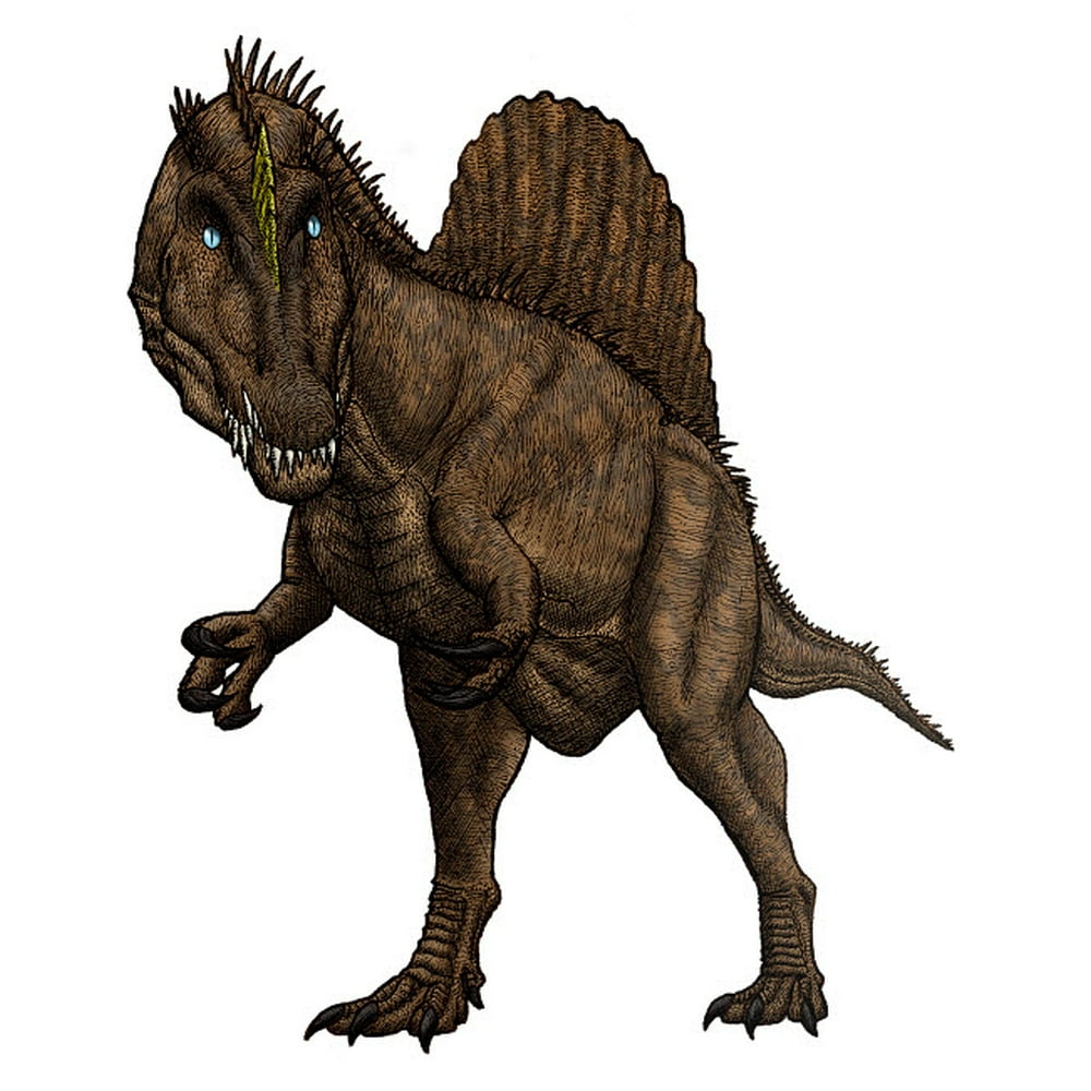 late cretaceous