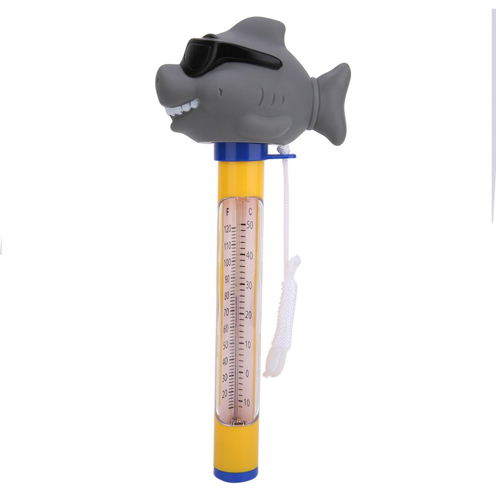 inground pool thermometer