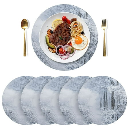 

Round Placemats Plate Mats 15 Inch Non-Slip Heat Resistant Washable PVC Set Table Decoration for Kitchen Dining Snowy Forest Scene