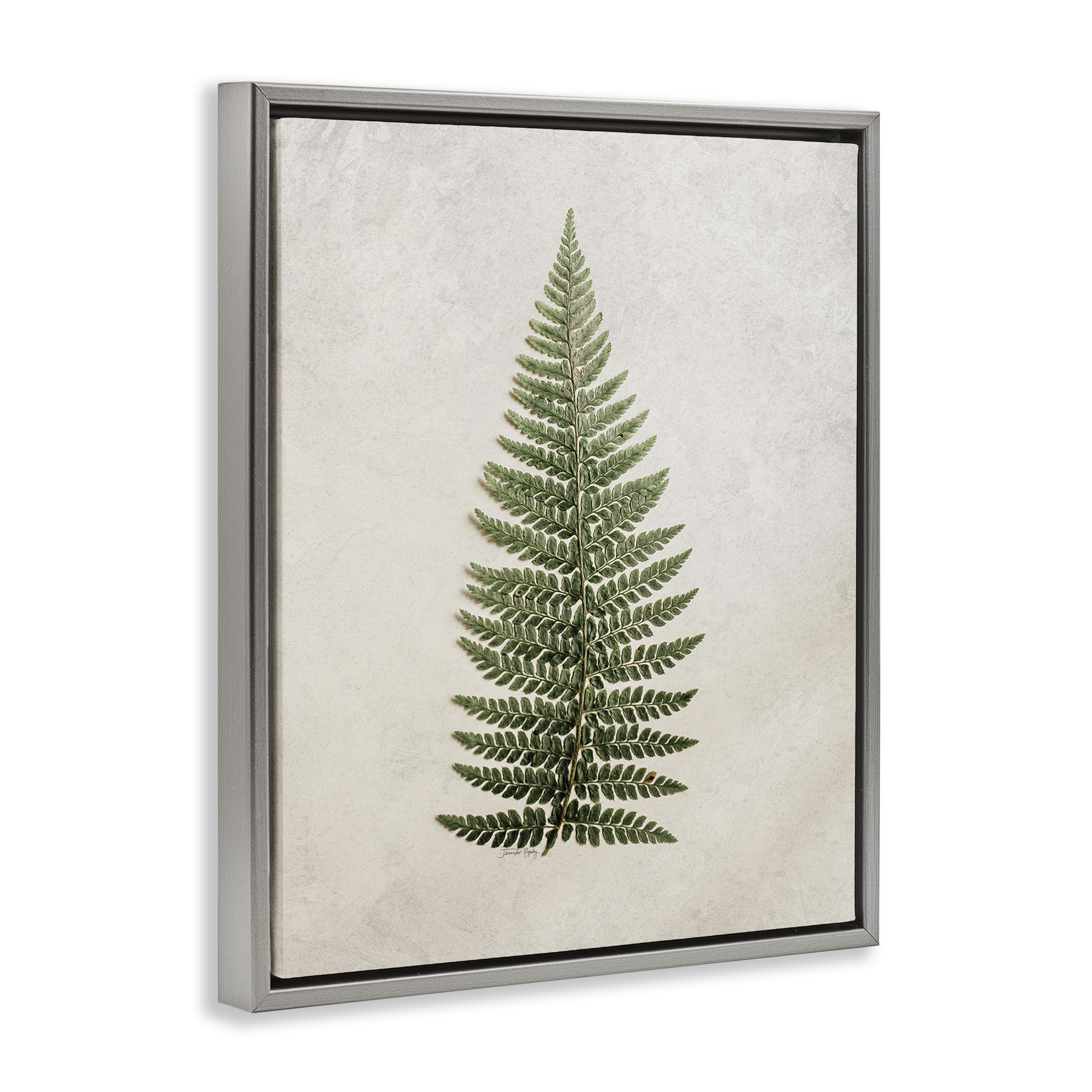 Stupell Industries Detailed Fern Leaf Botanical & Floral Painting Gray Floater Framed Art Print Wall Art, 17 x 21
