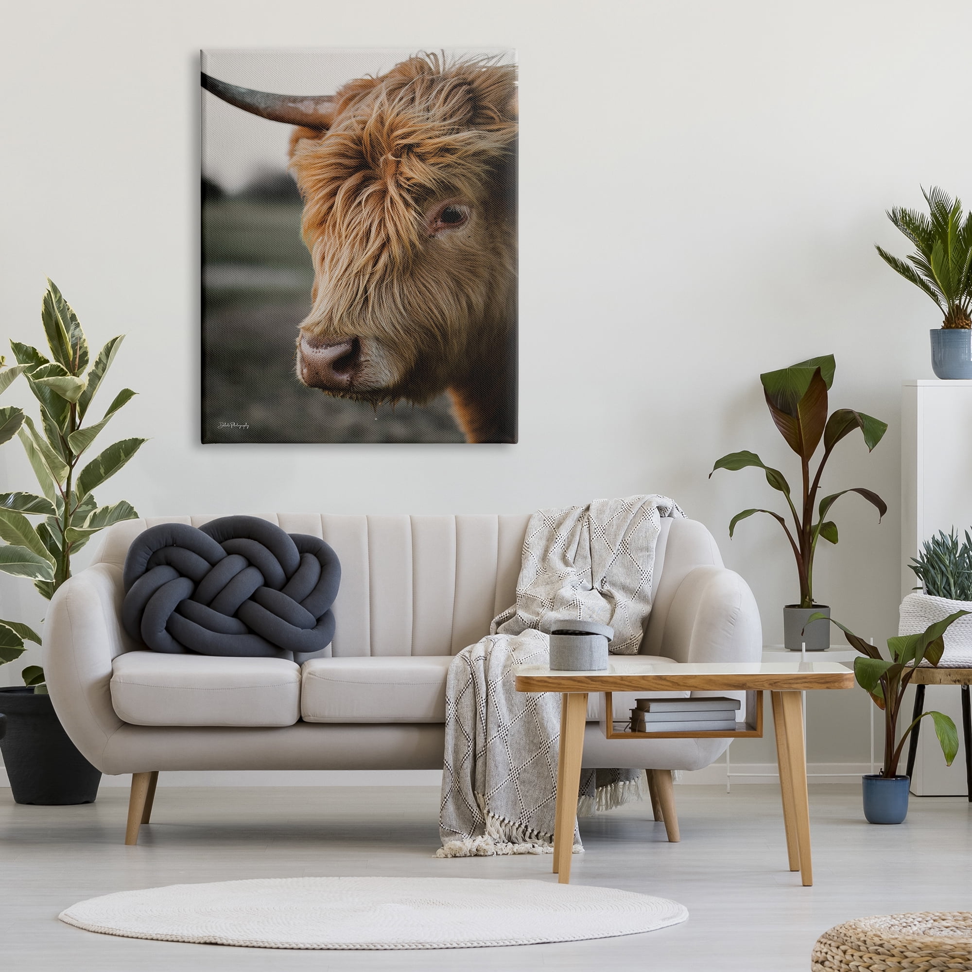 Stupell Industries Cattle Gazing Portrait Animals & Insects Photography Gallery Wrapped Canvas Print Wall Art, 36 x 48