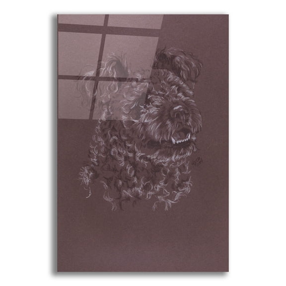 Epic Art 'Pumi' by Barbara Keith, Acrylic Glass Wall Art, 12"x16"