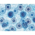 thumbnail image 2 of Day, Kellie 24x20 Black Ornate Wood Framed with Double Matting Museum Art Print Titled - Pinto and Buffalo Flowers Blue, 2 of 4