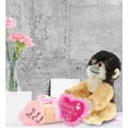 thumbnail image 6 of DolliBu Happy Mother's Day Super Soft Plush Squirrel Monkey Figure - Cute Stuffed Animal with Pink Heart Message for Best Mommy, Grandma, Wife, Daughter - Cute Wild Life Plush Toy Gift - 12.5" Inches, 6 of 6