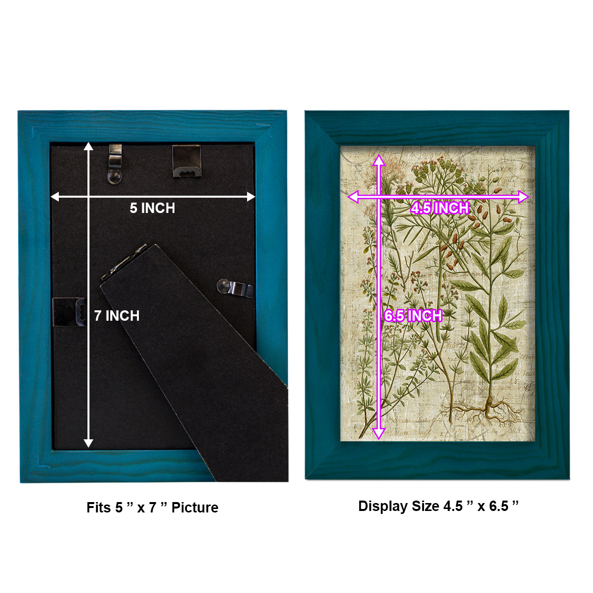 Garden Verses I -Framed Print w/glass-Ocean Blue