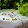 thumbnail image 5 of Raindrops Exquisite Ceramic Floating Turtle for Decoration Assorted Color Perfect for Fish Tank Layout and, 5 of 6