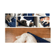 thumbnail image 2 of Almohadilla térmica para mascotas, manta térmica impermeable para perros y gatos 60*45cm 75W ER, 2 of 4