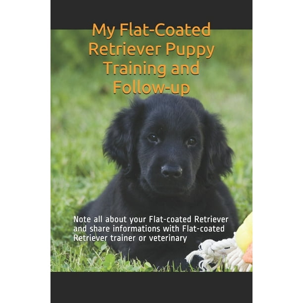 can you shave a flat coated retriever