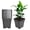 Black, variant on Square Pots Plant Pots Grow Pots Container Fit for Planting Soil Plants 0.63 Gallon 10Pcs