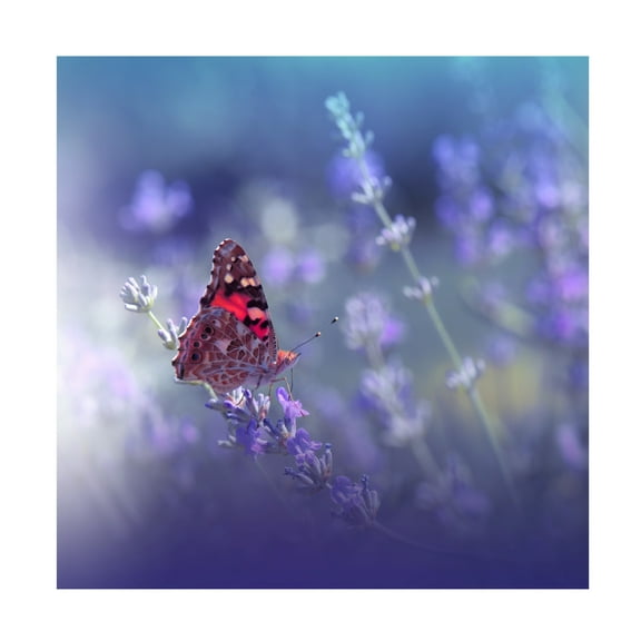 Canvas Wall Art - Juliana Nan 'Queen Of Flowers ' Wall Art for Living Room, Bedroom, or Office Décor by Trademark Fine Art - 14 x 14 Inches