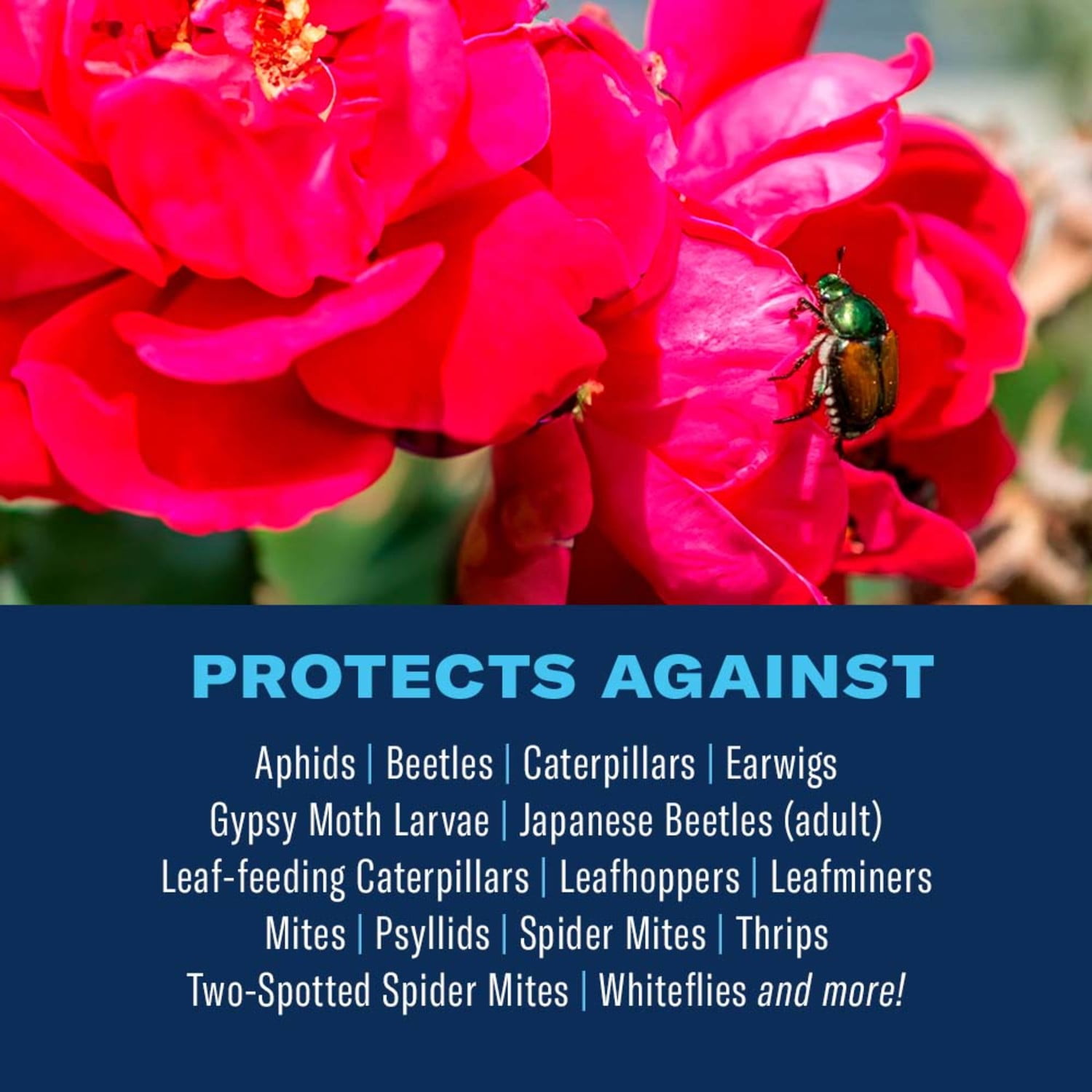 BioAdvanced 3-In-1 Insect, Disease and Mite Control, Ready-To-Spray, 32 FOZ