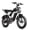 1500W 48V/20Ah c21, variant on Bopzin 1500W Electric Bike for Adults, with 48V 20AH Removable Battery, 20" Fat Tire Off-Road Mountain Bike, UL2849