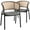 Grey, variant on LeisureMod Ervilla Mid Century Modern Dining Chair With Stainless Steel Legs Velvet Seat and Wicker Back, Contemporary Dining Arm Chairs for Kitchen and Dining Room, Set of 2 (Beige)