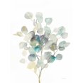 thumbnail image 2 of Eucalyptus III White Poster Print by Danhui Nai (9 x 12), 2 of 2