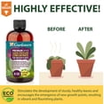 thumbnail image 3 of Premium Liquid CITRUS TREE Plant Fertilizer - 3-1-2 Concentrate for Indoor Plants and Flowers by Gardenera Labs | Organic Plant Food for CITRUS TREES - 8oz, 3 of 4