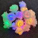 thumbnail image 1 of Guirnalda de luces LED con forma de rosa, linterna de espuma con forma de flor, para propuesta de San Valentín, para niña, con forma de corazón, para habitación, decorativa, 1 of 5