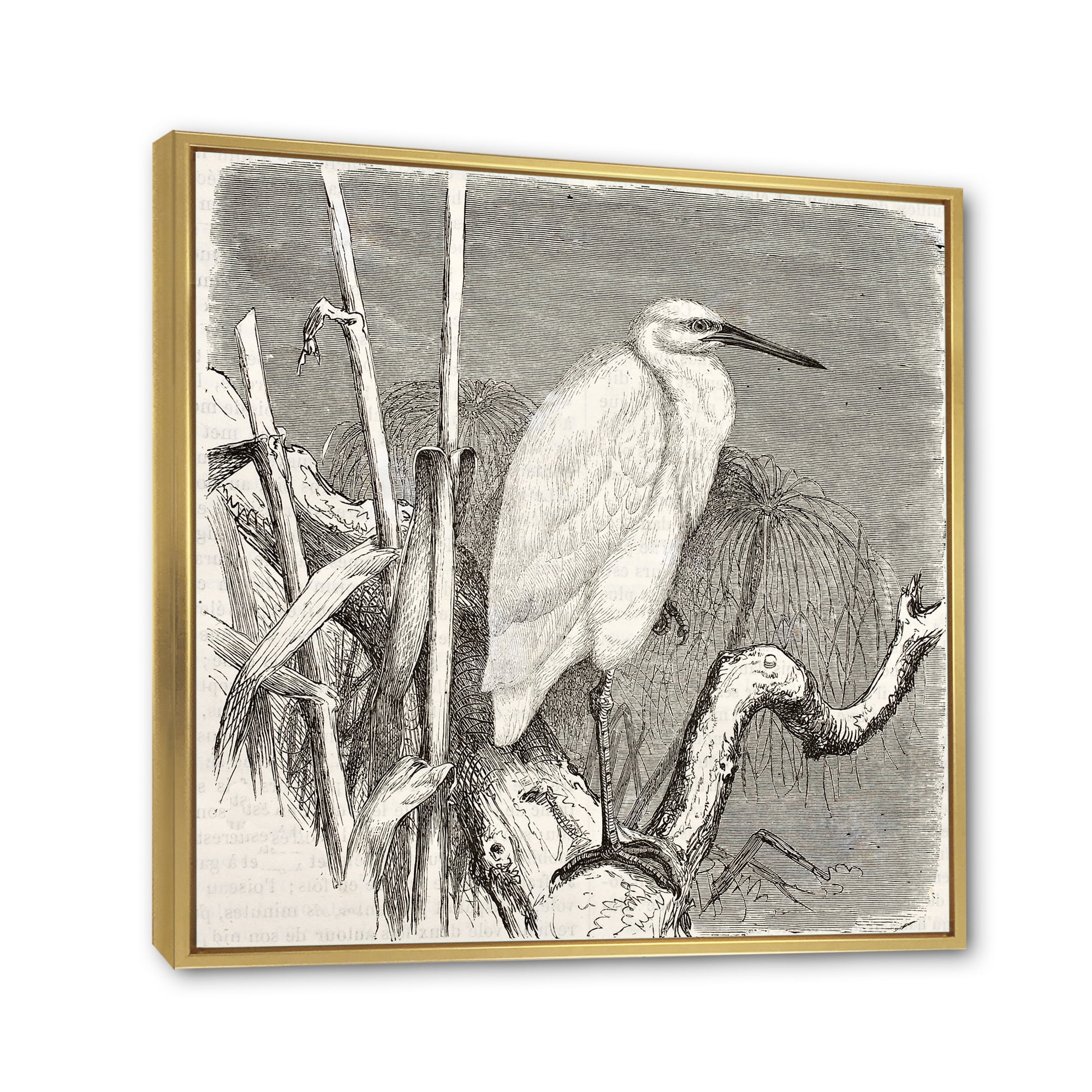 Designart 'Little Egret Bird in Monochrome' Farmhouse Framed Canvas Wall Art Print