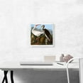thumbnail image 2 of ARTCANVAS White Ibis Canvas Art Print by John James Audubon - Size: 12" x 12" (1.50" Deep), 2 of 9