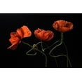 thumbnail image 2 of Lenka 14x11 White Modern Wood Framed Museum Art Print Titled - Around Midnight #2, 2 of 4