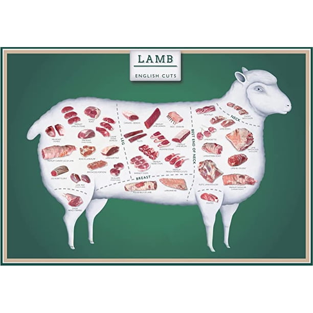 Iconic Arts Laminated 24x36 Poster: Lamb Cuts English Cut Butcher Chart ...