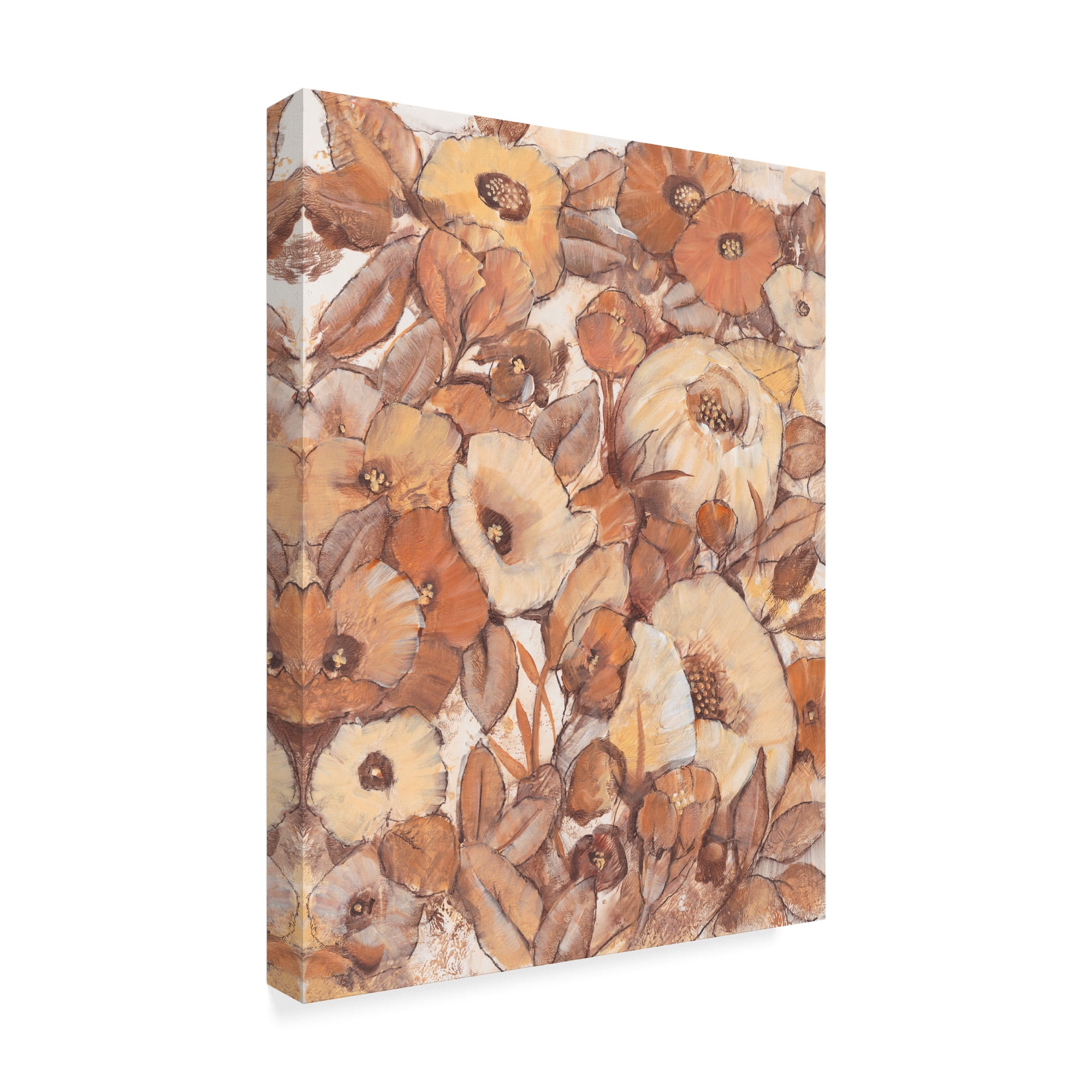 Trademark Fine Art 'Umber Garden I' Canvas Art by Tim OToole