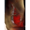 thumbnail image 4 of Kid's Zombie Pirate Costume, 4 of 7
