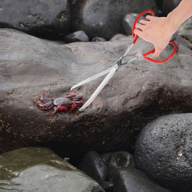 WASHWEPE Pinza Multiusos Roja Para Cangrejo Y Resistente Para Hogar Y Picnic