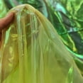 thumbnail image 4 of Tela de organza amarilla iridiscente de 10 m para bodas y Halloween, 4 of 7