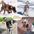 thumbnail image 4 of Disfraces para perros Disfraz para mascotas Estilo vaquero Rider Disfraz para mascotas (grande) ER, 4 of 5