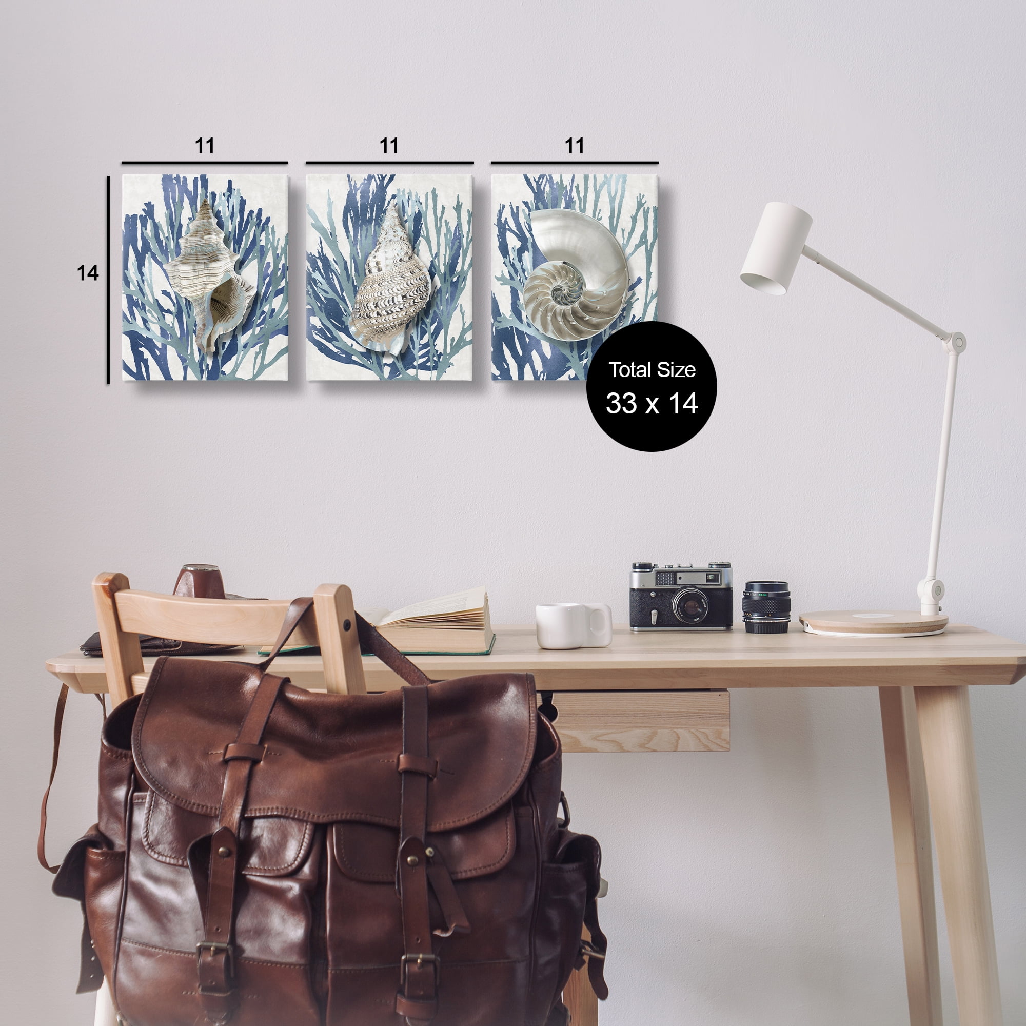 Stupell Industries Trio of Shells & Coral Nature Painting Gallery Wrapped Canvas Art Print Wall Art, 11 x 14, Set of 3
