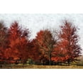 thumbnail image 2 of Romita, Denise 18x13 White Modern Wood Framed Museum Art Print Titled - Fall Reds, 2 of 4