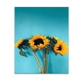thumbnail image 1 of Manta DIY con flores para otoño e invierno, cálida manta para sofá, manta de aire acondicionado de doble cara con impresión HD, 1 of 6