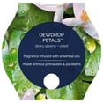 thumbnail image 5 of Glade 3-Wick Candle, Dewdrop Petals, 6.8 oz, 5 of 5