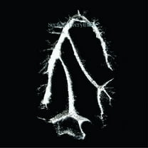 Seefeel - Everything Squared - Music & Performance - Vinyl