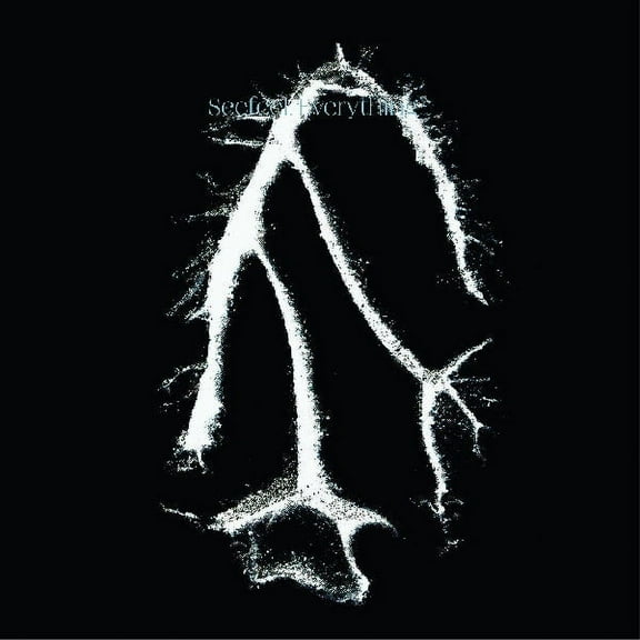 Seefeel - Everything Squared - Music & Performance - Vinyl