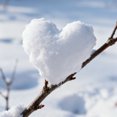 thumbnail image 3 of Heart Shape Snowball Maker Tool for Outdoor Fights and Playground, 3 of 6