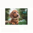 Quinlirra Clearance 2025 Wall Calendar Dogs Calendar 20252026 Wall Calendar Monthly Desk