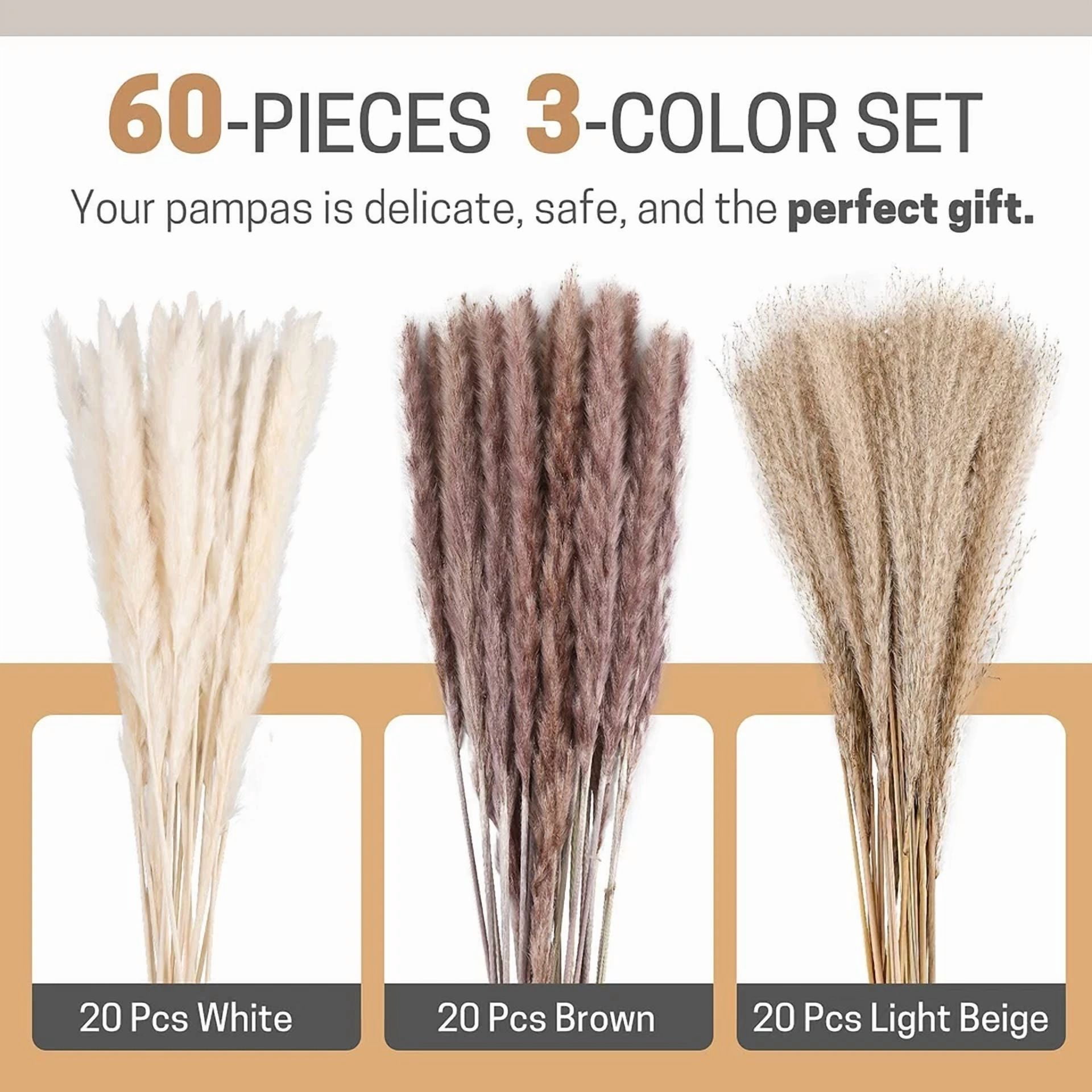 CIRCLE- 60Pcs Pampas Grass Natural Dried Reed Flower Bunch Bouquets Home Wedding Decor