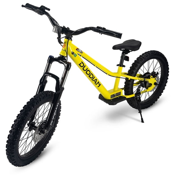 Kids Electric Bike, 350W Motor, 16Miles & 18.6MPH, 20"Pneumatic Tires, Adjustable Seat, Electric Bicycles for Kids and Teen Over 9 Years Old to Ride
