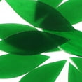 thumbnail image 4 of unbranded Piezas De Vidrio Para Manualidades Con Moderno Y Acabado Suave Verde, 4 of 8
