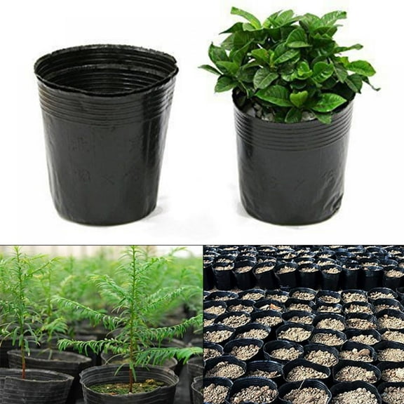 Leonard Mountain 3” x 3” x 3” Square Black Plastic Nursery Pot with Saucer (100 Count)