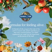 Garden of Life Dr. Formulated Probiotics Once Daily Men's, 30 Capsules