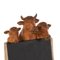 thumbnail image 5 of DecMode Cow Chalkboard Polystone Decorative Sign with Brown Tree Trunk Frame, 1-Piece, 5 of 9