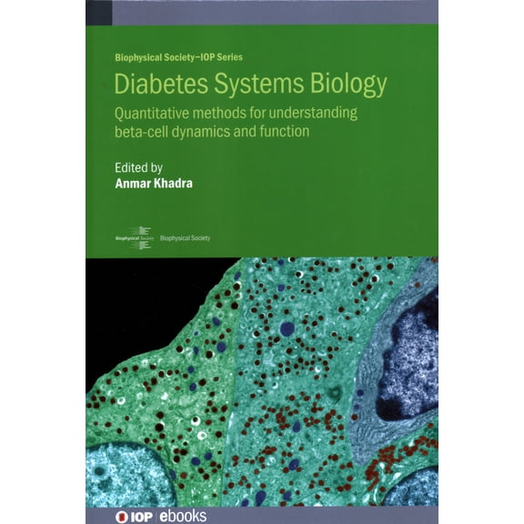 Biophysical Society: Diabetes Systems Biology : Quantitative Methods for Understanding Beta-Cell Dynamics and Function (Hardcover)