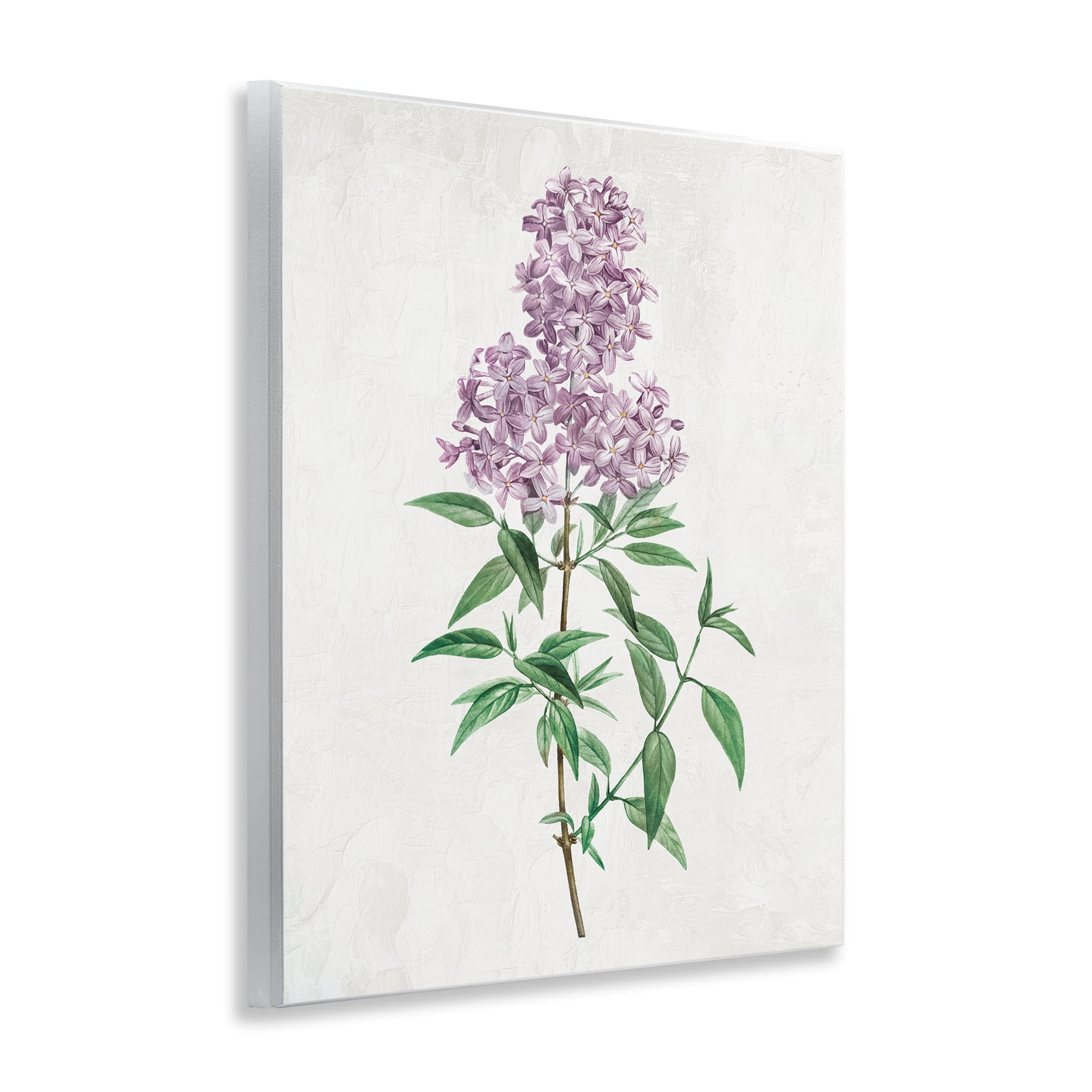 Stupell Industries Lilac Blossoms Blooms Wall Plaque Art, design by Kim Allen