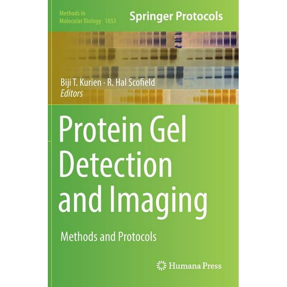 Methods in Molecular Biology Protein Gel Detection and Imaging: Methods and Protocols, Book 1853, (Hardcover)