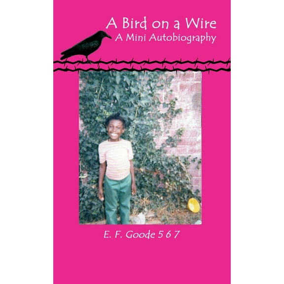 A Bird on a Wire (Paperback)